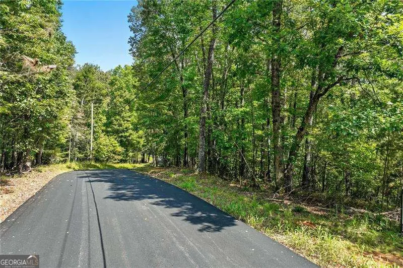 0 Robinson Road, Dahlonega, GA 30533 - Image #3