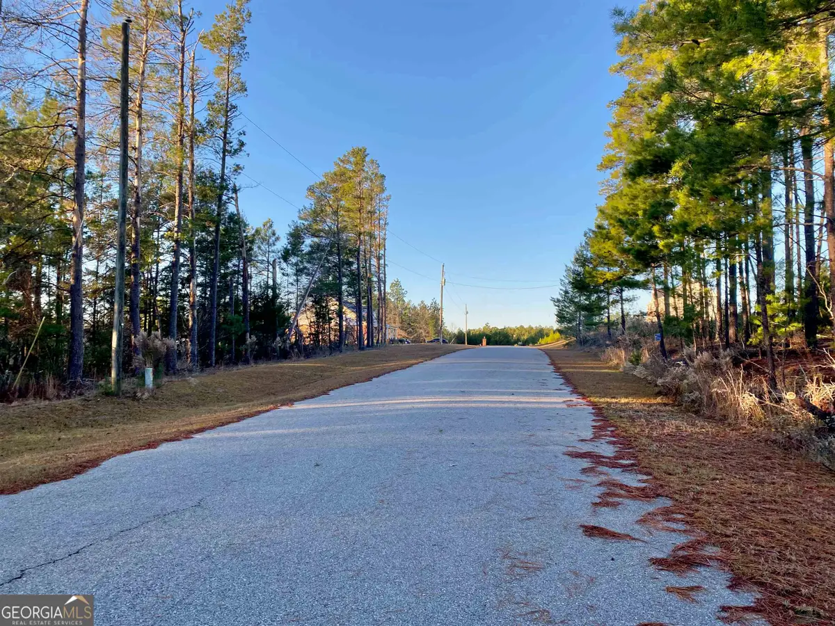 0 Oak Ridge Drive, Butler, GA 31006 - Image #1