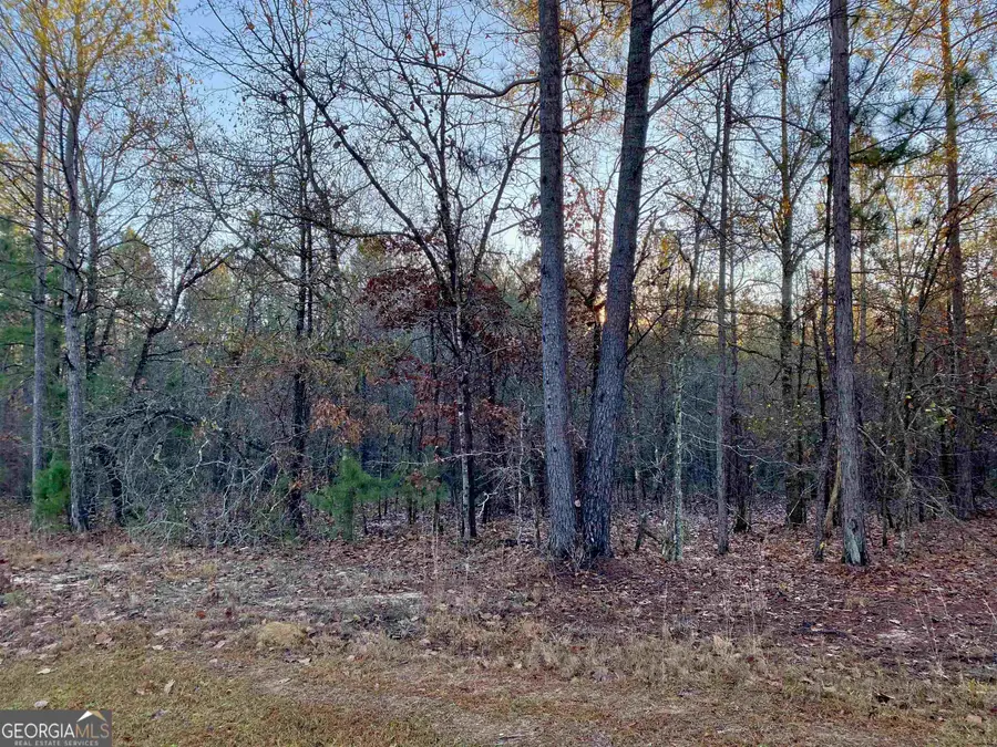 0 Oak Ridge Drive, Butler, GA 31006 - Image #3