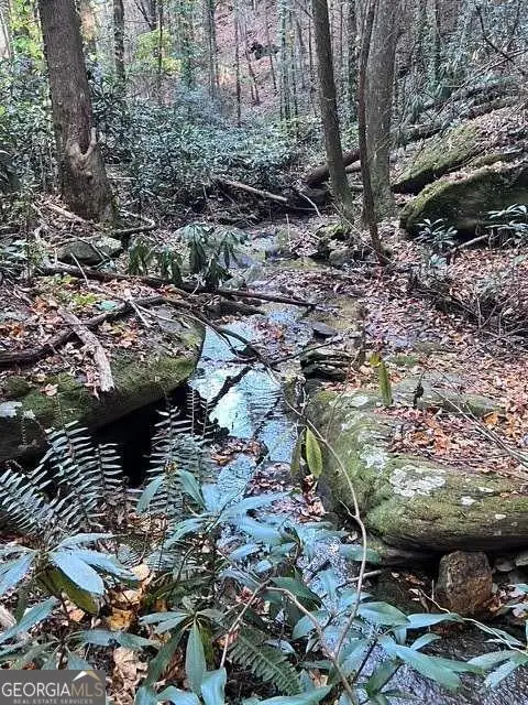 0 Ga Hwy 52, Ellijay, GA 30540 - #1