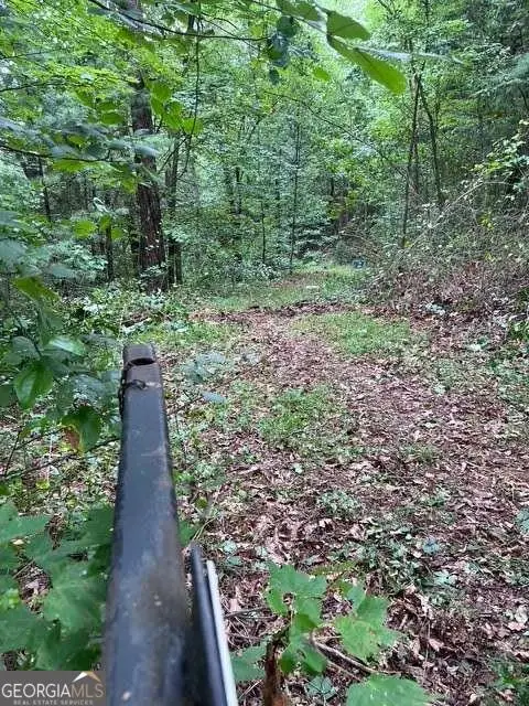 0 Ga Hwy 52, Ellijay, GA 30540 - #2