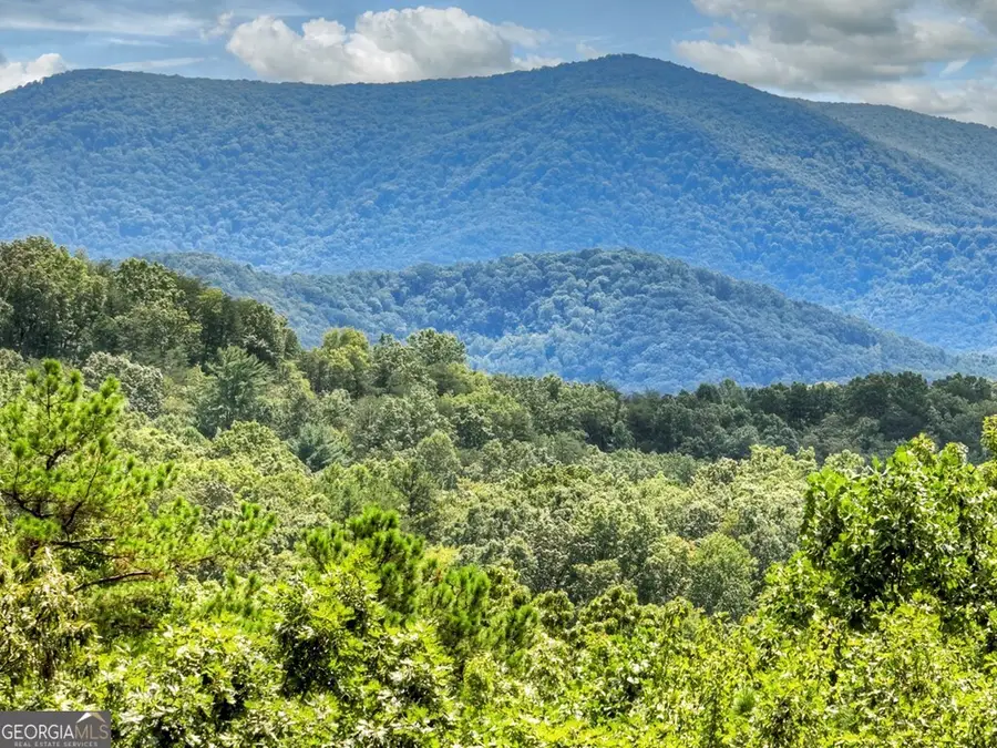 31 Haley Drive, Cherry Log, GA 30522 - Image #3