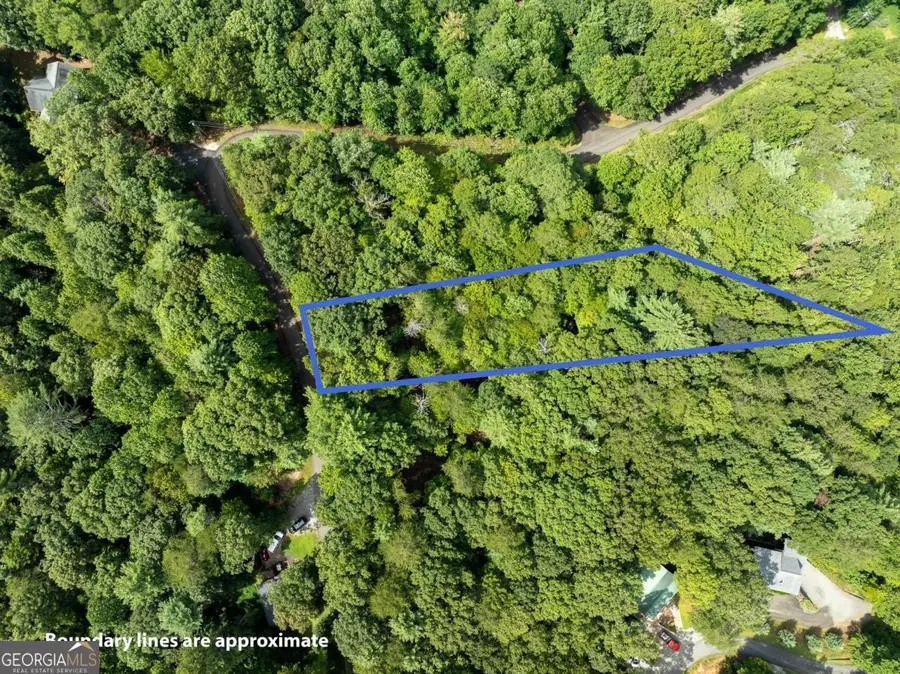 LOT 272 Seneca Drive, Ellijay, GA 30540 - #3
