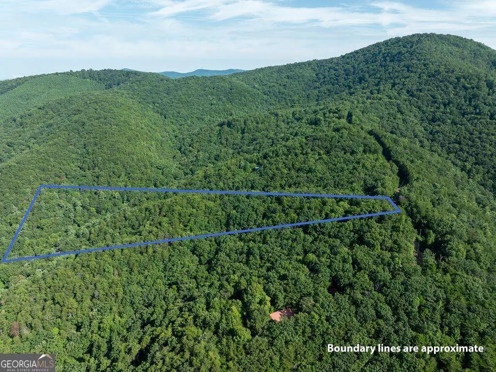 LOT 9 Brushy Top Drive, Chatsworth, GA 30705 - Image #1