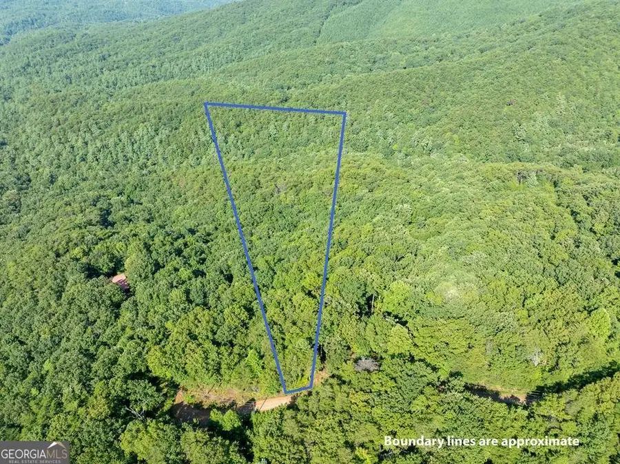 LOT 9 Brushy Top Drive, Chatsworth, GA 30705 - Image #2