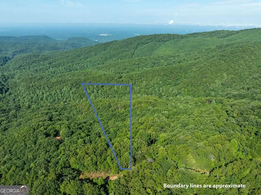LOT 9 Brushy Top Drive, Chatsworth, GA 30705 - Image #3