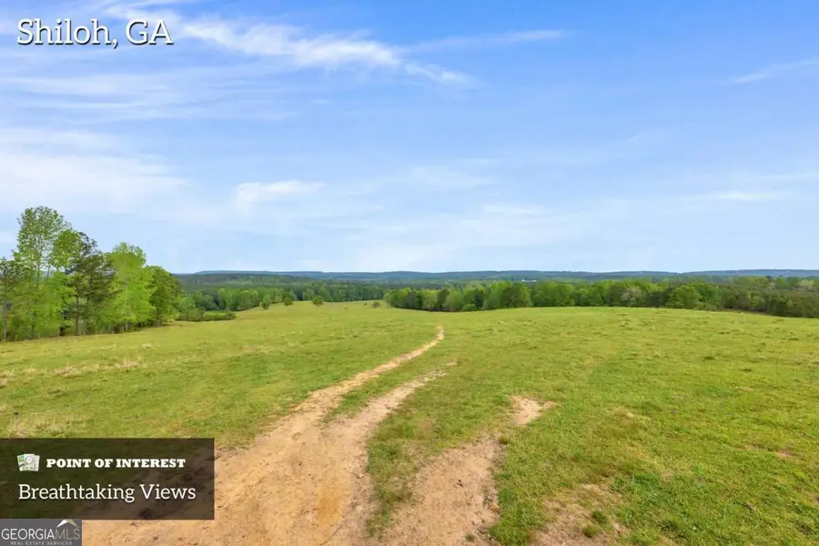 2450 Chestnut Grove Road #2, Shiloh, GA 31826 - Image #3