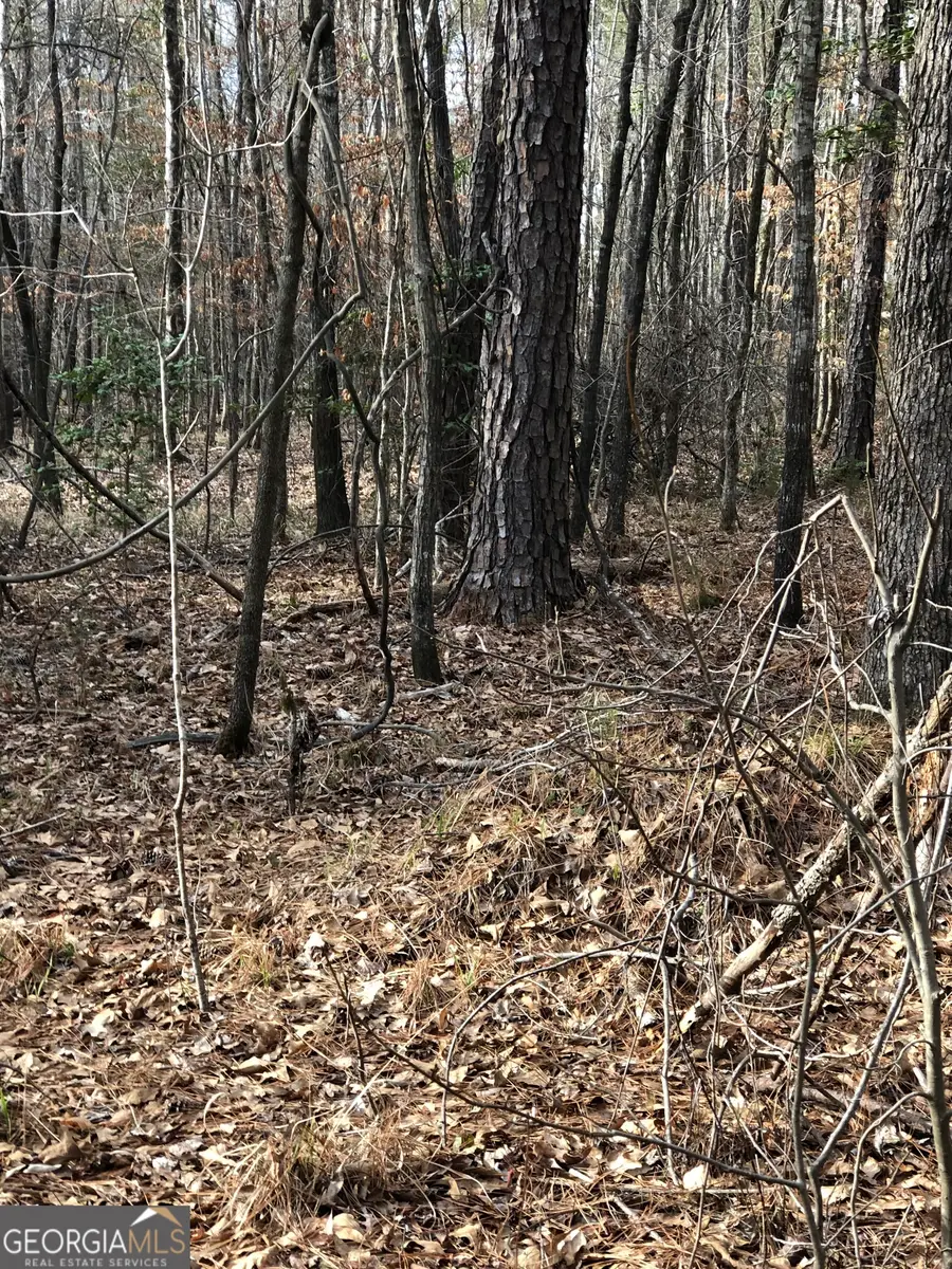 438 Lake Laurel Road, Milledgeville, GA 31061 - Image #2