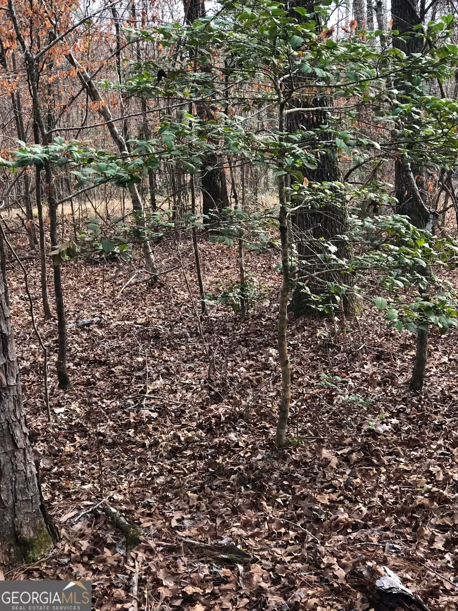 438 Lake Laurel Road, Milledgeville, GA 31061 - Image #3