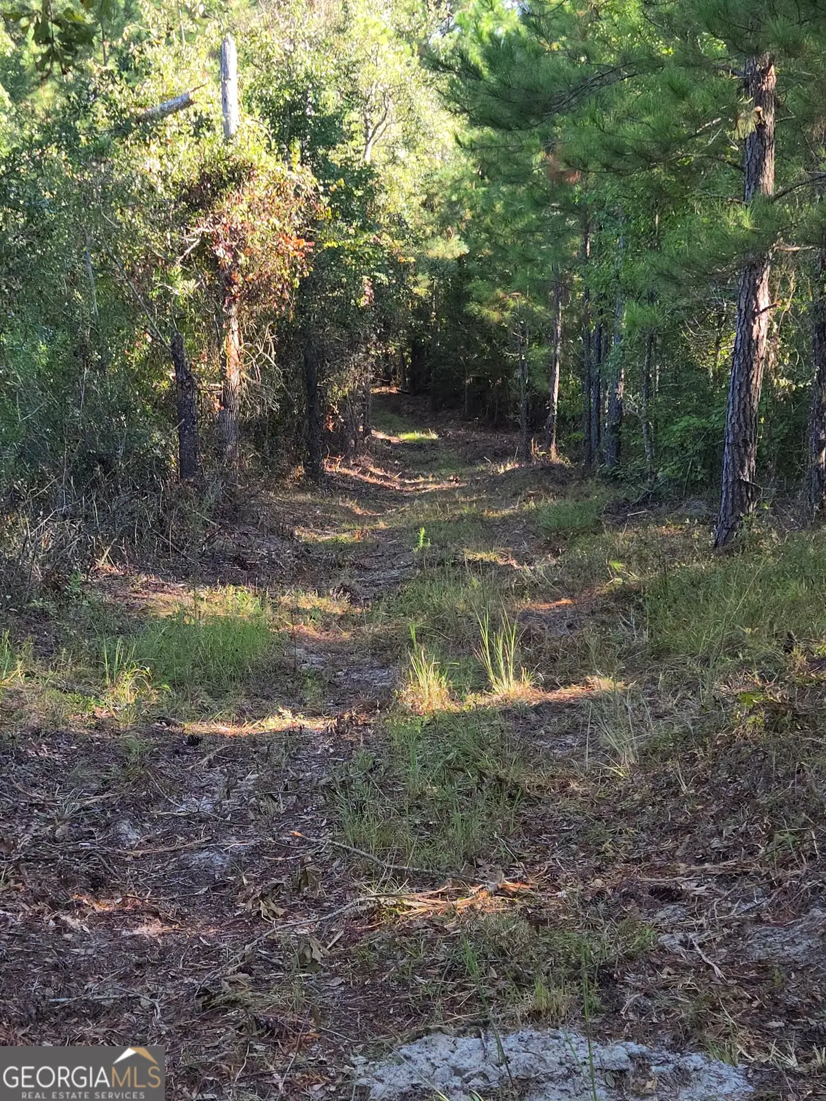 0 Alton Lawson Road, Adrian, GA 31002 - Image #1