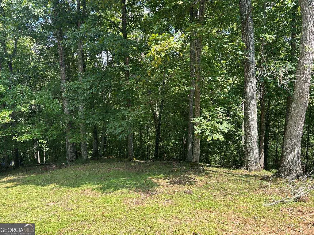 LT 19 Bitter Creek Road, Blairsville, GA 30512 - Image #1