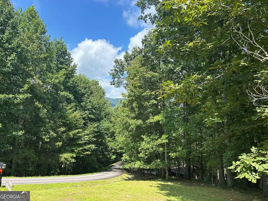 LT 19 Bitter Creek Road, Blairsville, GA 30512 - Image #2