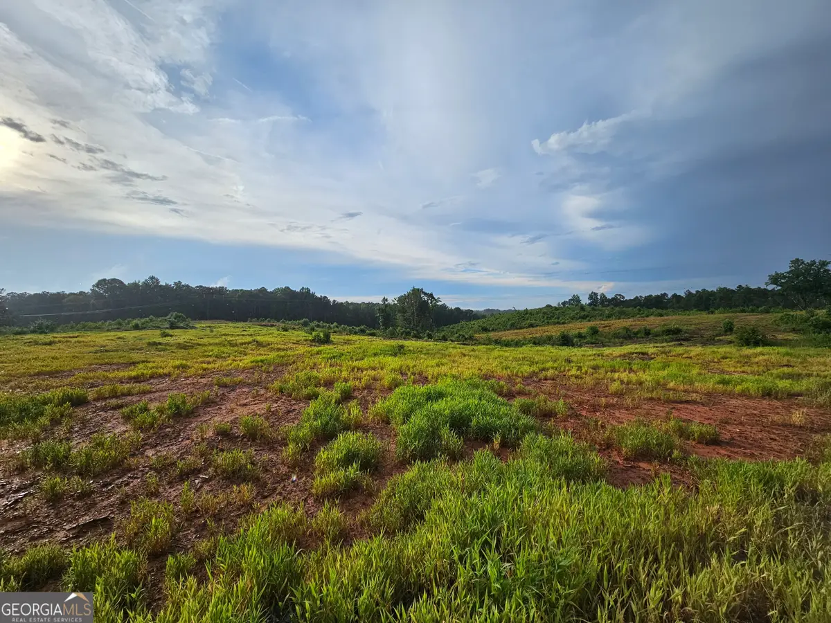 TRACT 2 THORNTO Thornton Drive, Elberton, GA 30635 - Image #1