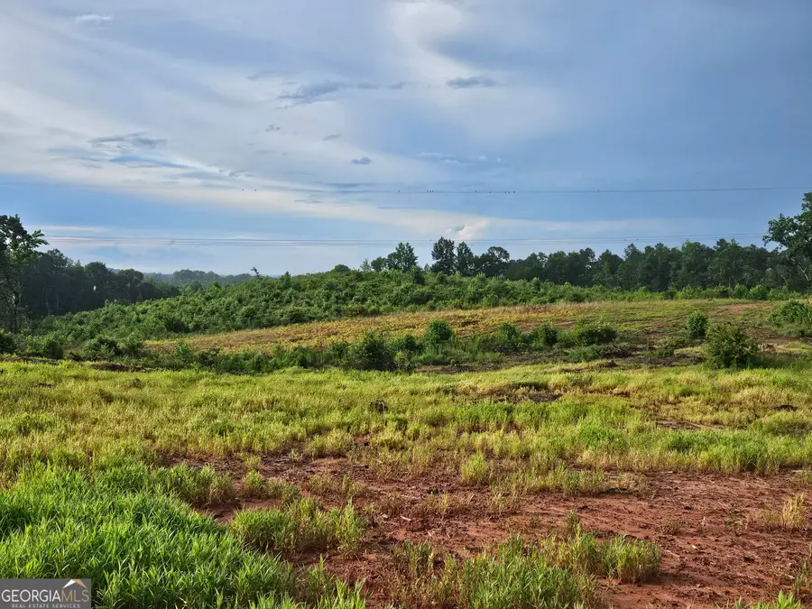 TRACT 2 THORNTO Thornton Drive, Elberton, GA 30635 - Image #2