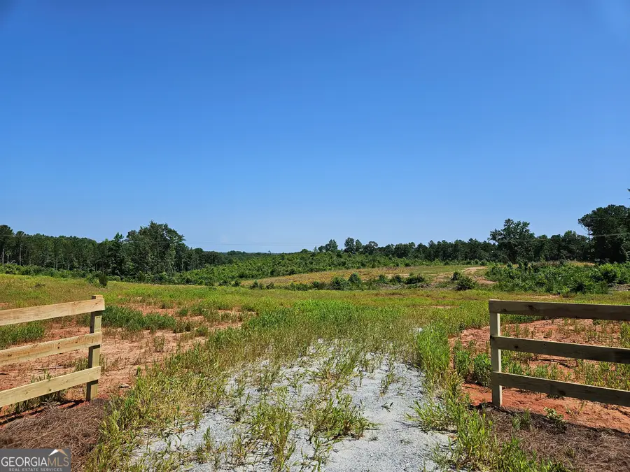 TRACT 2 THORNTO Thornton Drive, Elberton, GA 30635 - Image #3