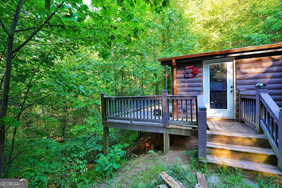 192 Bushy Head Road, Cherry Log, GA 30522 - Image #3