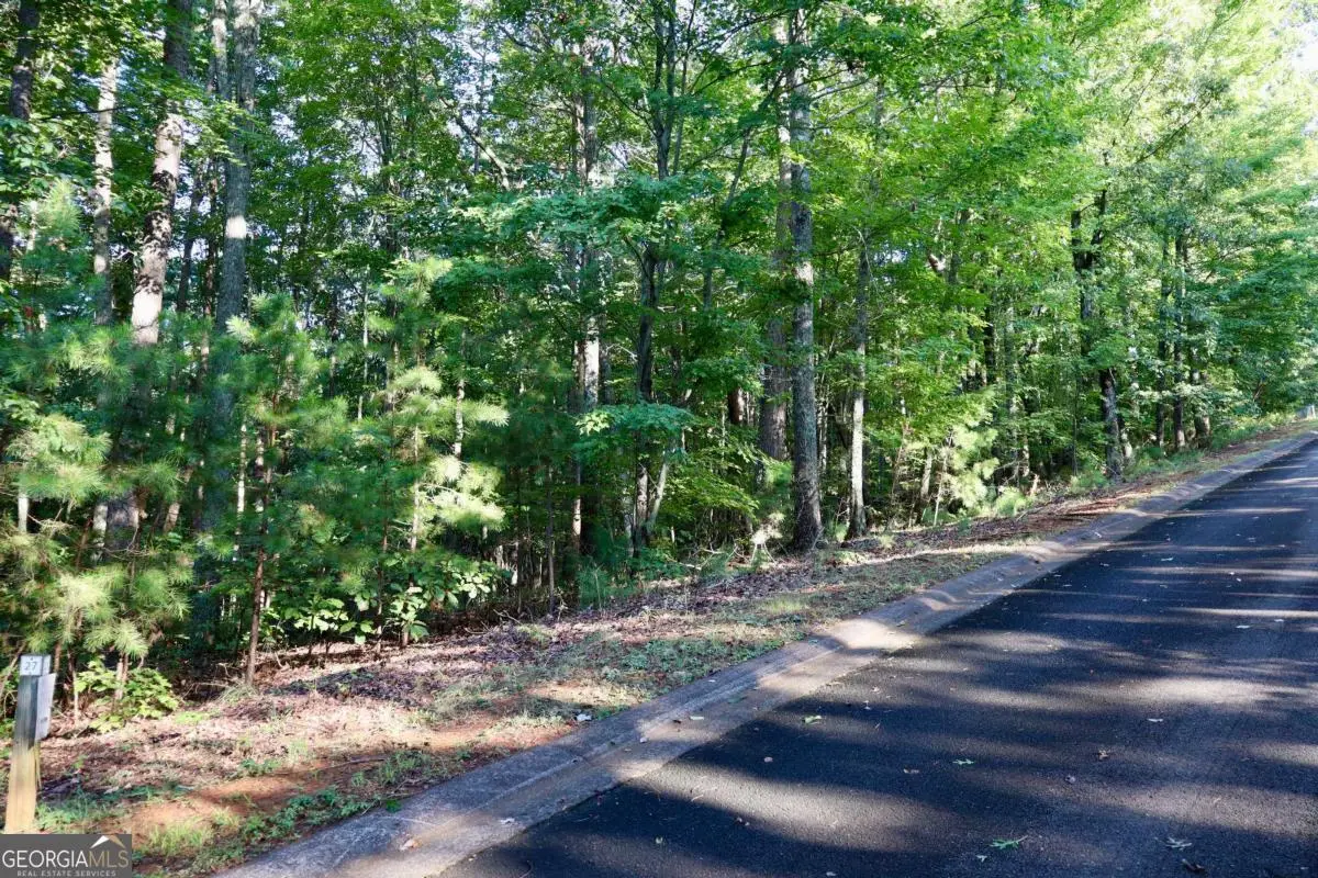 0 Saw Blade Lane, Ellijay, GA 30540 - #1