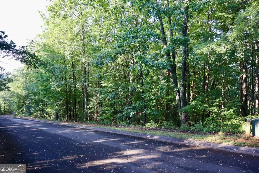 0 Saw Blade Lane, Ellijay, GA 30540 - #2