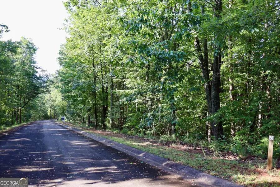 0 Saw Blade Lane, Ellijay, GA 30540 - #3