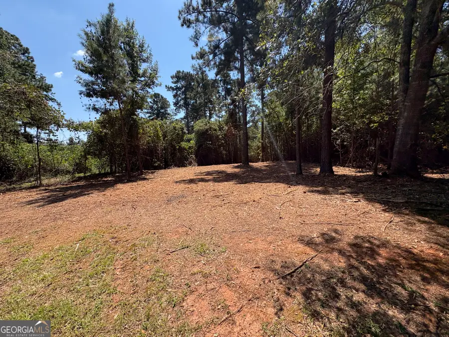 TRACTS 2-4 Old Rumble Road, Forsyth, GA 31029 - Image #3