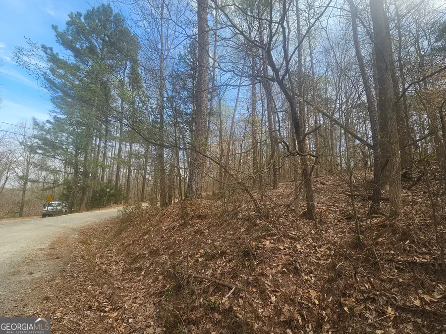 LOT 7 & 8 Gumlog Drive, Lavonia, GA 30553 - Image #2