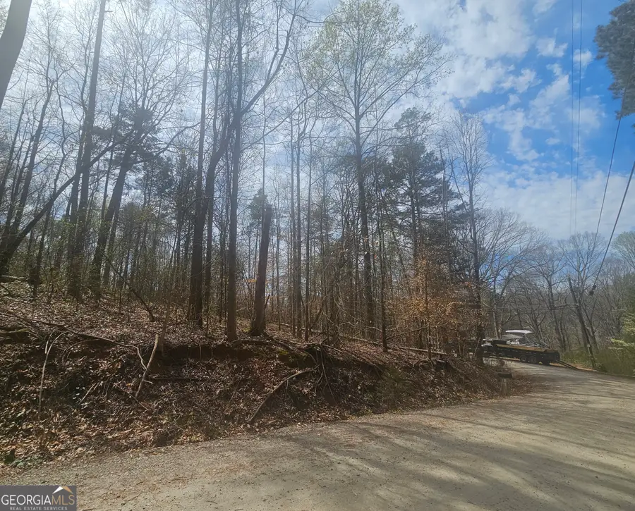 LOT 7 & 8 Gumlog Drive, Lavonia, GA 30553 - Image #3