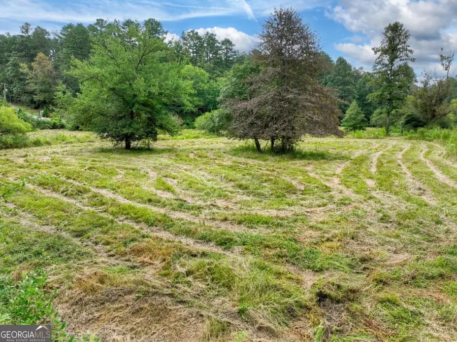 34.56 AC Weaver Creek Road, Blue Ridge, GA 30513 - Image #3
