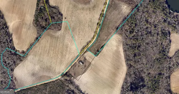 0 Sink Hole Road, Register, GA 30452