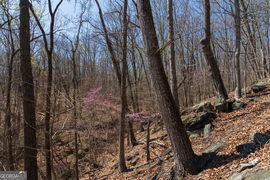 0 Soapstone Road, Banks, GA 30511 - Image #2