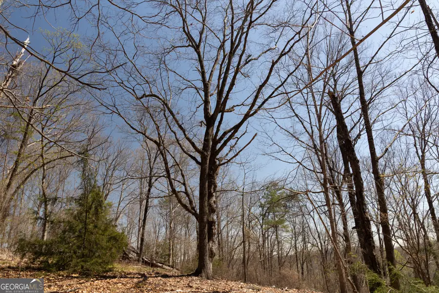 0 Soapstone Road, Banks, GA 30511 - Image #3