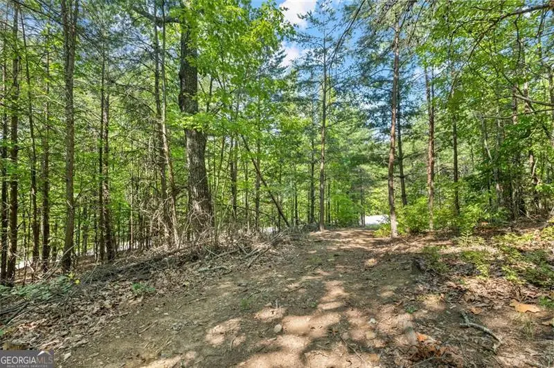 0 Highlands Lake Trail #LOT 30, Clarkesville, GA 30523 - #2