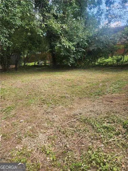 1000 Washington Street, Atlanta, GA 30316 - Image #2