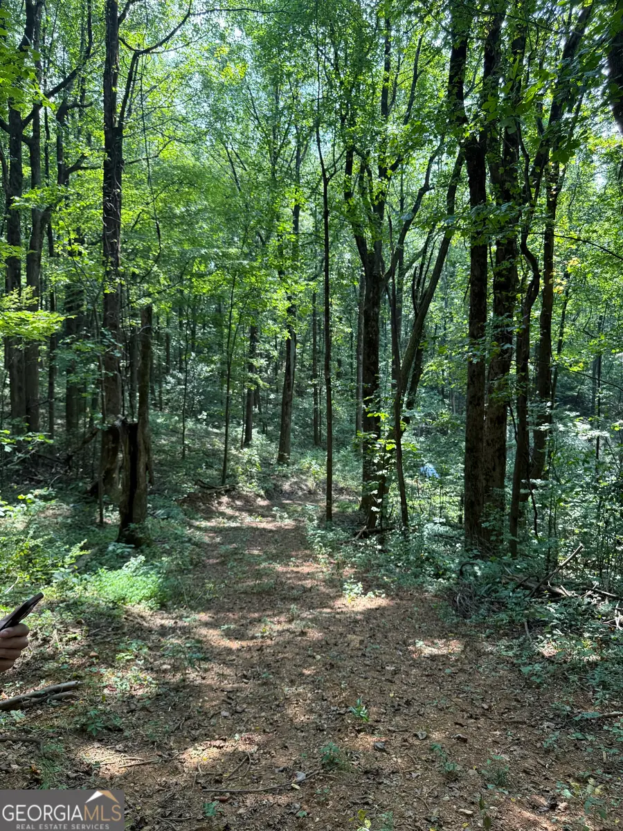 6180 Burnt Mountain Road, Ellijay, GA 30536 - Image #2