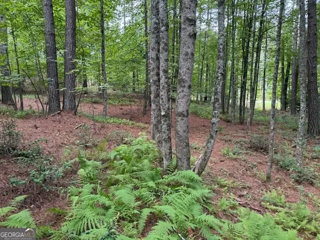 0 Deyton Drive, Blairsville, GA 30512 - Image #2