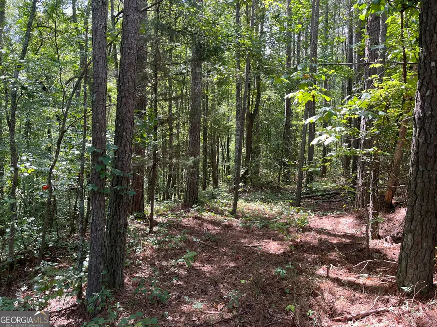 0 Ga Highway 120, Tallapoosa, GA 30176 - Image #2