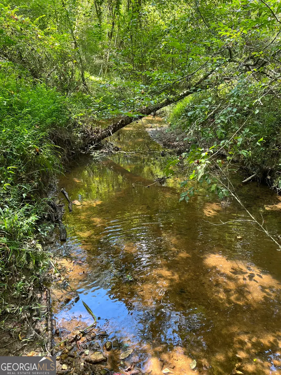 0 Ga Highway 120, Tallapoosa, GA 30176 - Image #3