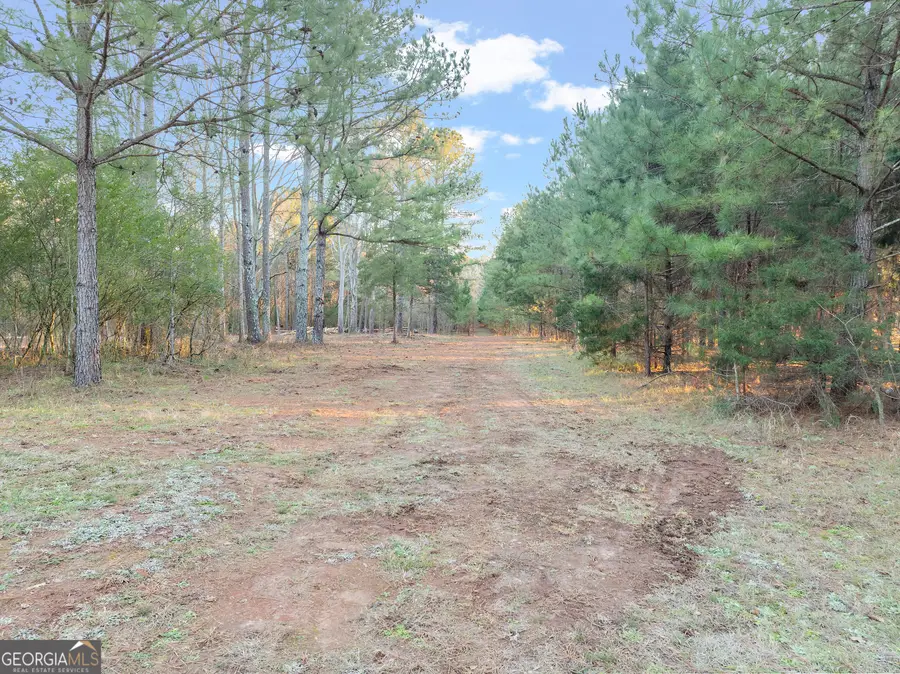 TRACT 4 Seven Islands Road, Madison, GA 30650 - Image #2