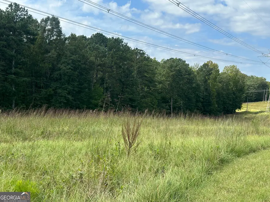 0 Teasley Trail, Moreland, GA 30259 - Image #2