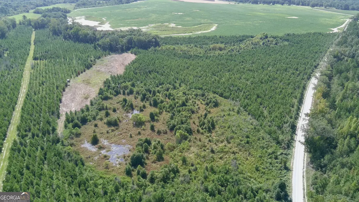 0 Bethel Church Road, Eastman, GA 31023 - Image #1