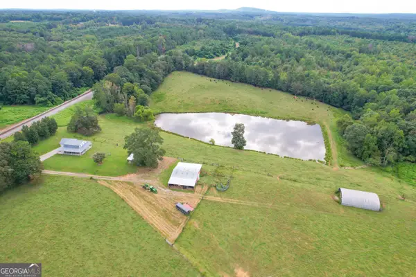 60 +/- Acres At 295 J Davis Road, Tallapoosa, GA 30176