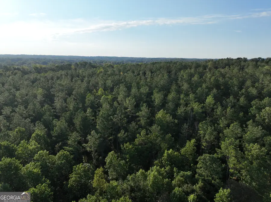 0 Shady Grove Road, Carrollton, GA 30116 - Image #3