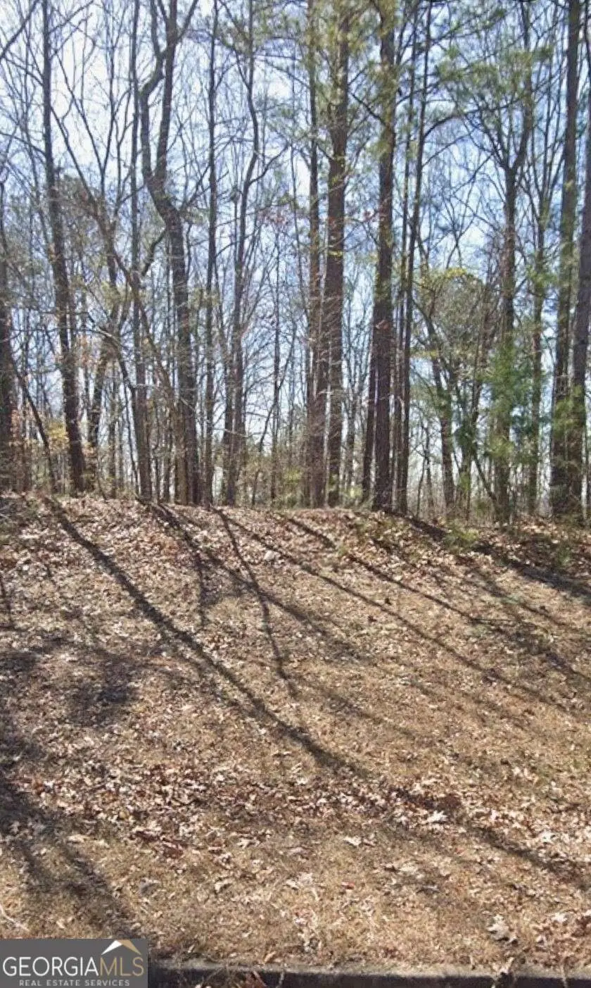 205 Long Cove Drive, Lagrange, GA 30240 - Image #3