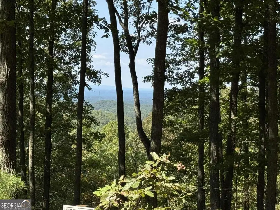 1005 Mayfield Lane Ne, Ranger, GA 30734 - Image #2