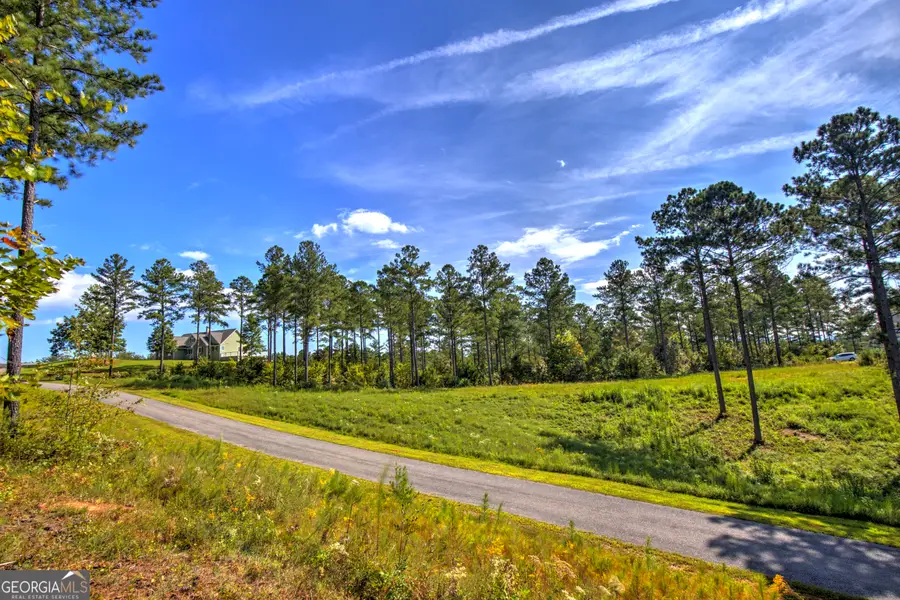 127 Hillside Lane #LT 25, Ellijay, GA 30540 - #2