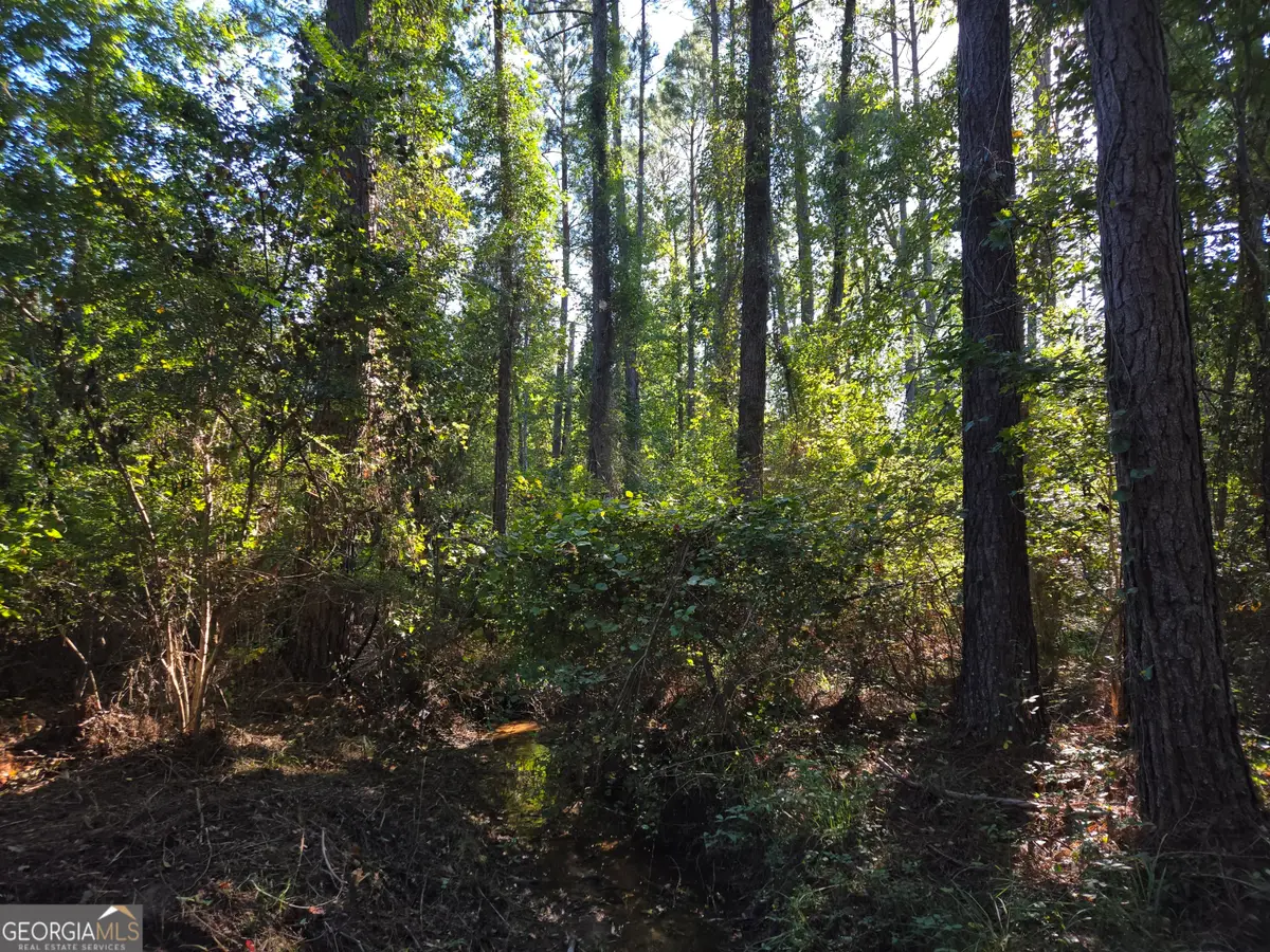 0 Walden Way, Adrian, GA 31002 - Image #1