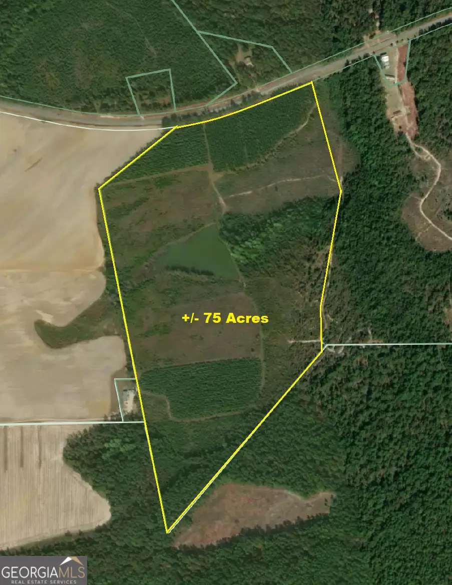 0 Sardis Church Road, Kite, GA 31049 - Image #1