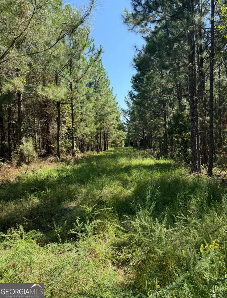 0 Sardis Church Road, Kite, GA 31049 - Image #3