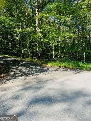 4 Maxwell Mountain Road, Ellijay, GA 30540 - #2