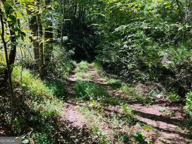 4 Maxwell Mountain Road, Ellijay, GA 30540 - #3