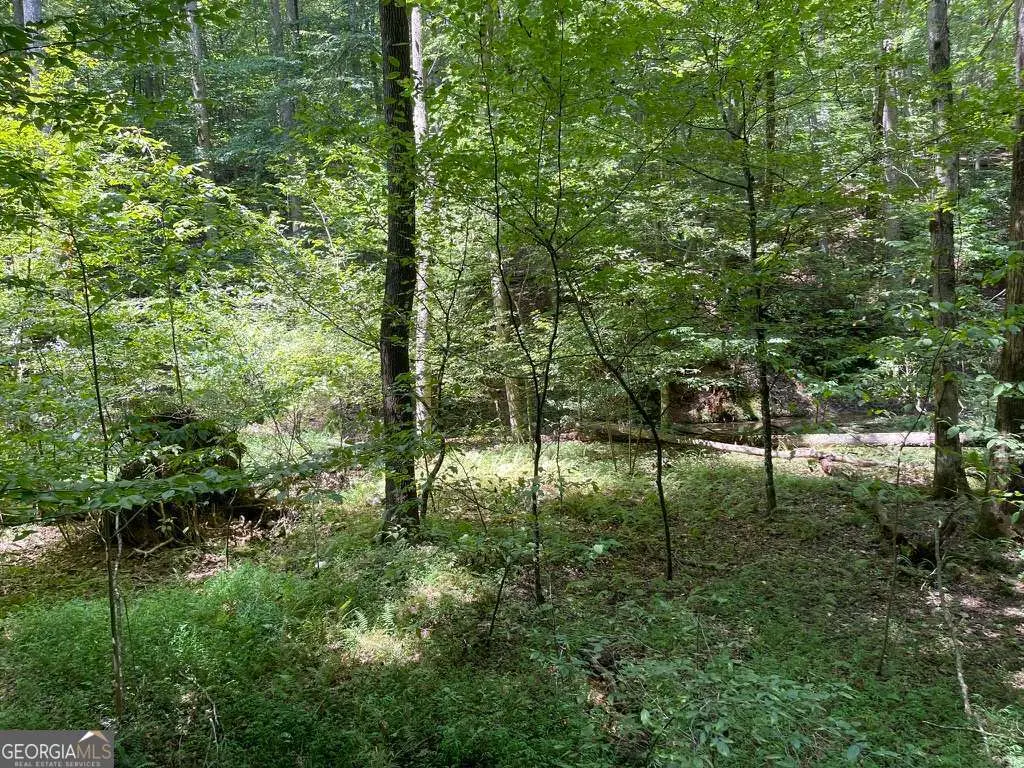 LOT 223 Bowline Drive #223, Ellijay, GA 30540 - #1